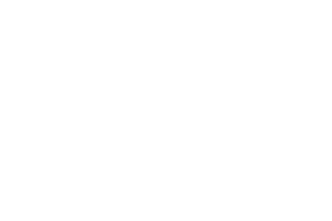 client-volkswagen